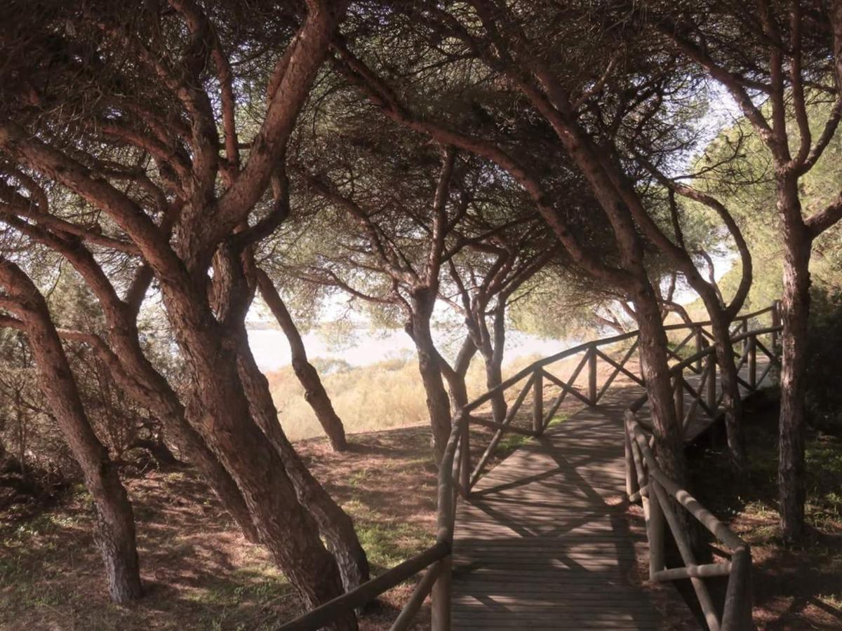 Apartmán Atico Con Vistas A La Ria De Punta Umbría Exteriér fotografie